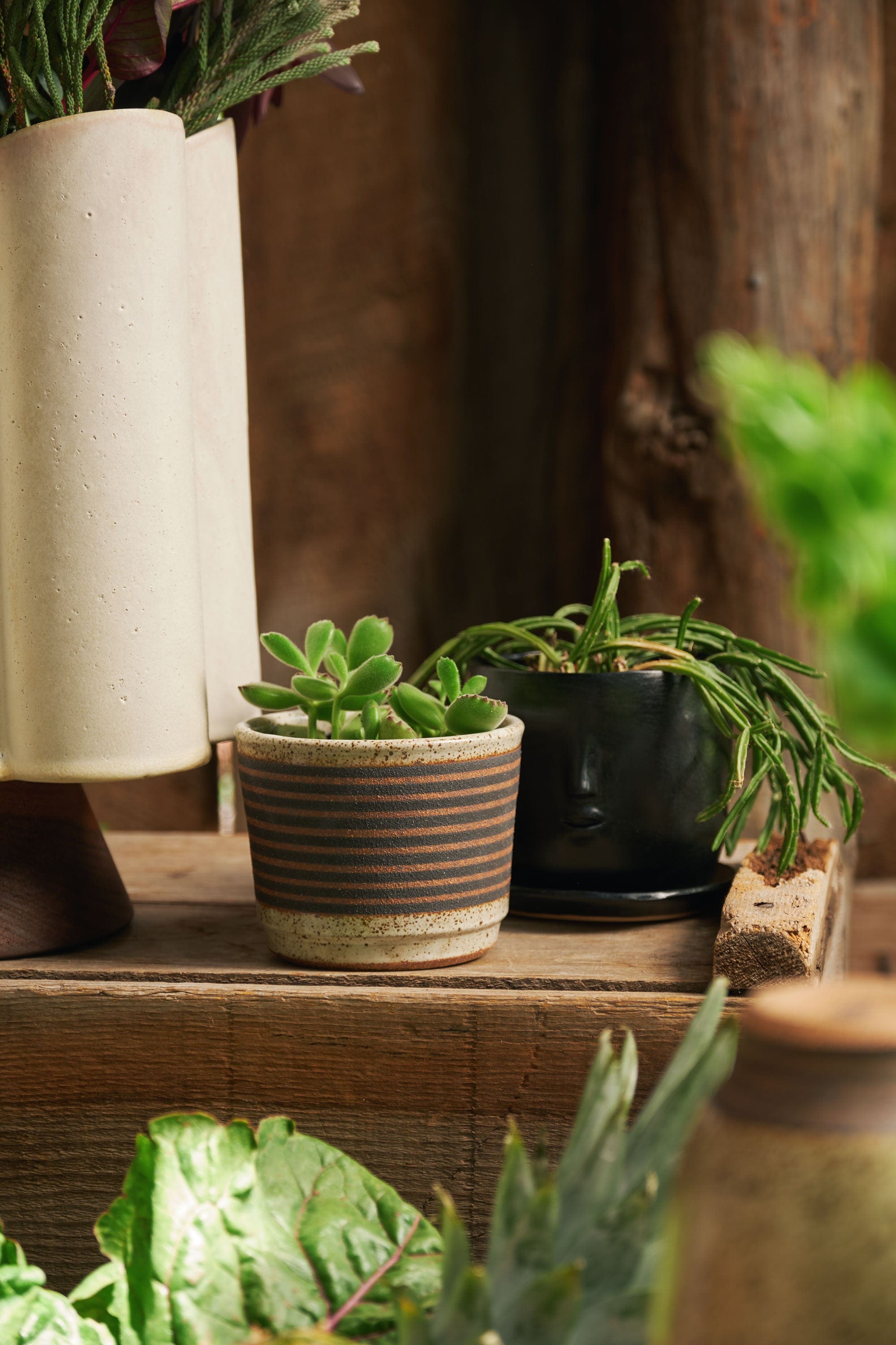 Kat and Roger Home Planters Small Planter in Black and White Stripes Black and White Stripes