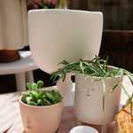 Rami Kim Studio Home Planters Tripod Mini Face Planter in White White