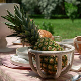 Virginia Sin Home Kitchen Containers Moth Fruit Bowl