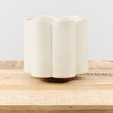 BZippy Art Ceramics Short Scallop Vase in Cream Cream