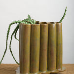 Bzippy Triangle Ruffle Vase with display cactus inside