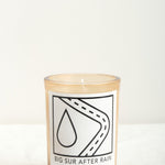 DS & DURGA Home Candles Big Sur After Rain Candle