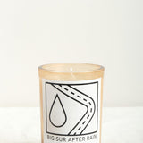 DS & DURGA Home Candles Big Sur After Rain Candle