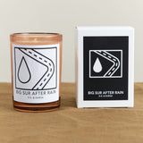 DS & DURGA Home Candles Big Sur After Rain Candle