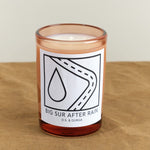 DS & DURGA Home Candles Big Sur After Rain Candle
