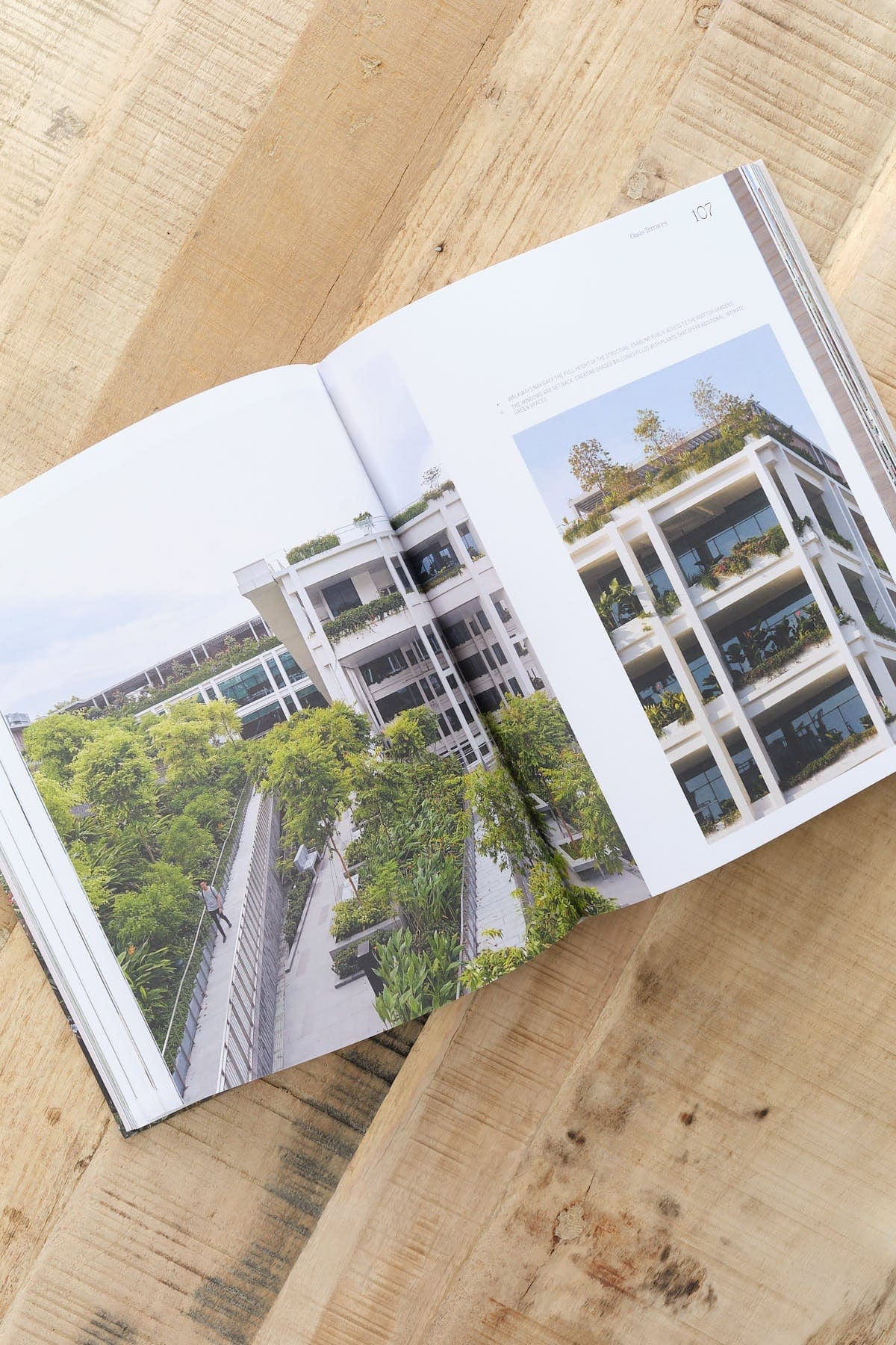 Gestalten Home Objects Evergreen Architecture Book
