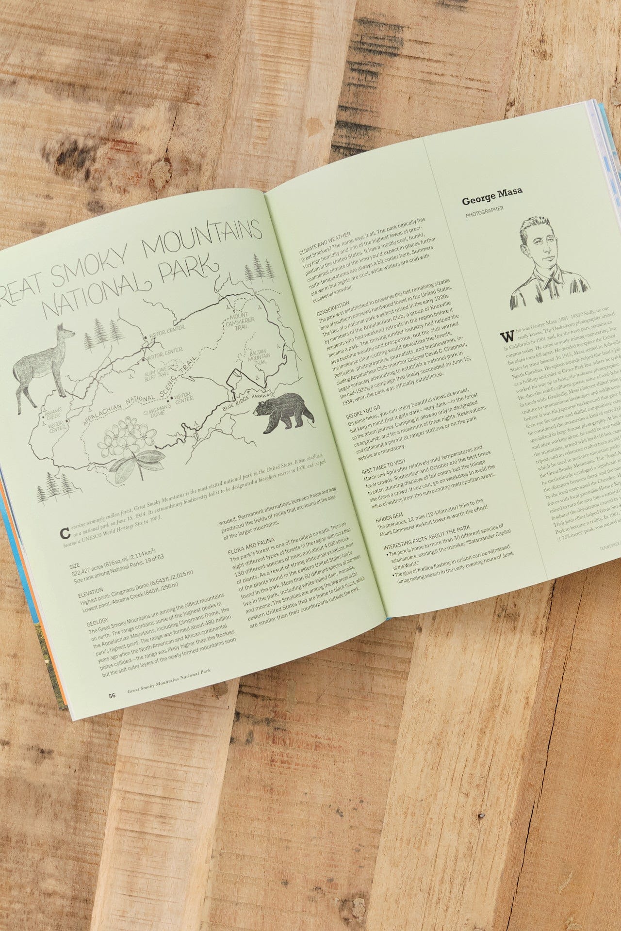 Gestalten Home Objects Parklands Book