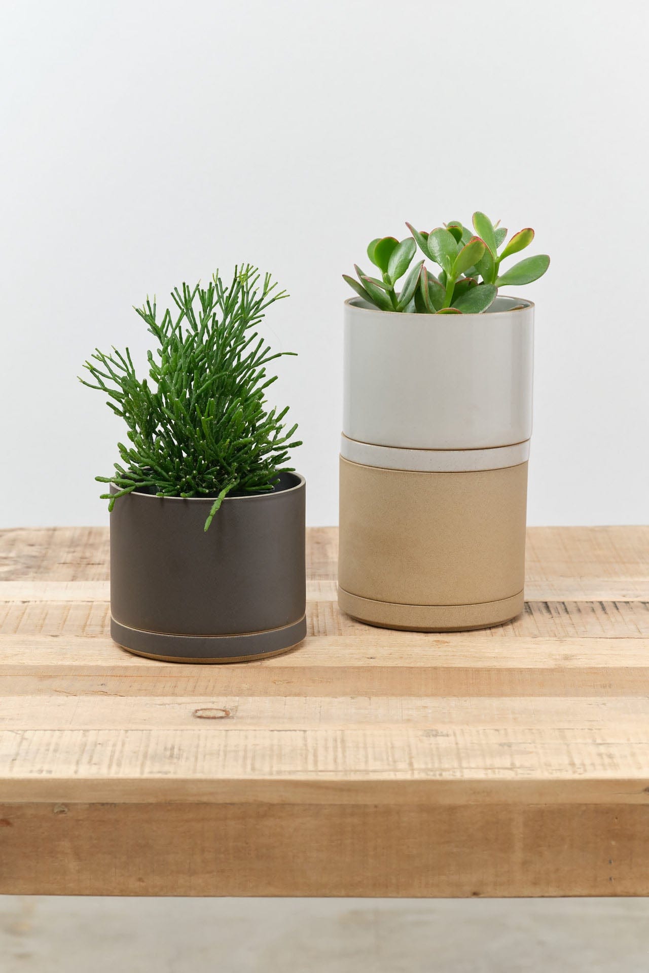 large porcelain plant pots Hasami Porcelain Large Planter – Cedar & Hyde Mercantile