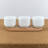 Hasami Porcelain Home CoffeeTea Tasting Cup White / 3 3/8" D X 2 7/8" H