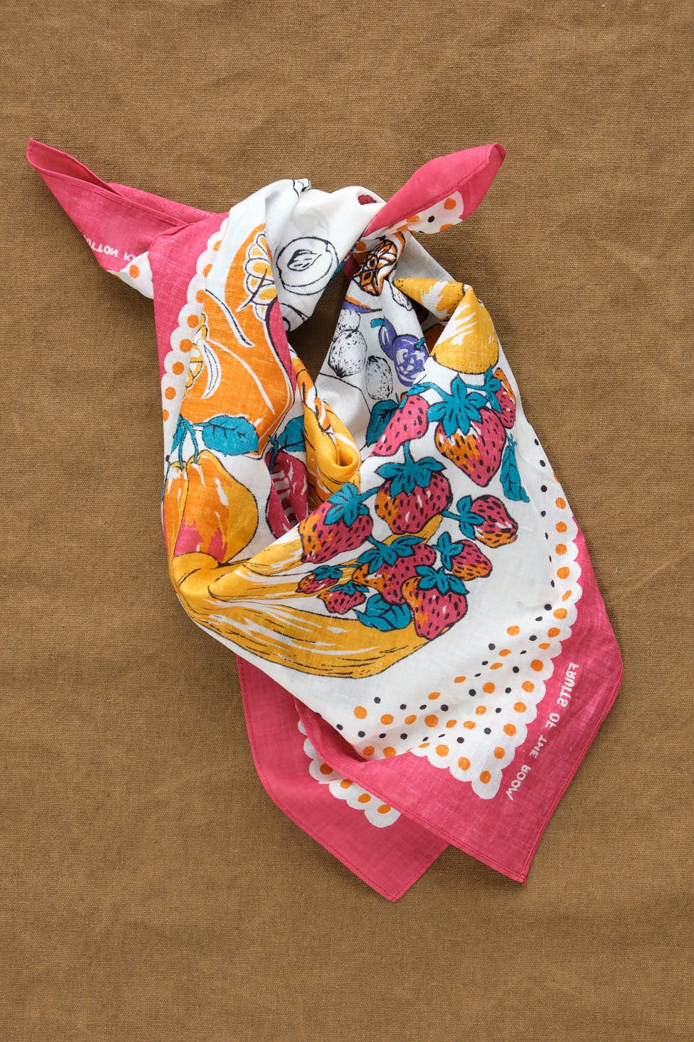 Color Bandana Fruit SHUNGA tied in red