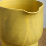 Kati Von Lehman Home Kitchen Pitchers Water Pitcher in Turmeric Turmeric / 7" H X 6.5" Dia