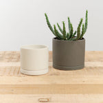 Kinto Home Planters 3" Plant Pot