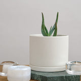 Kinto Home Planters 5" Plant Pot with Drainage Holes