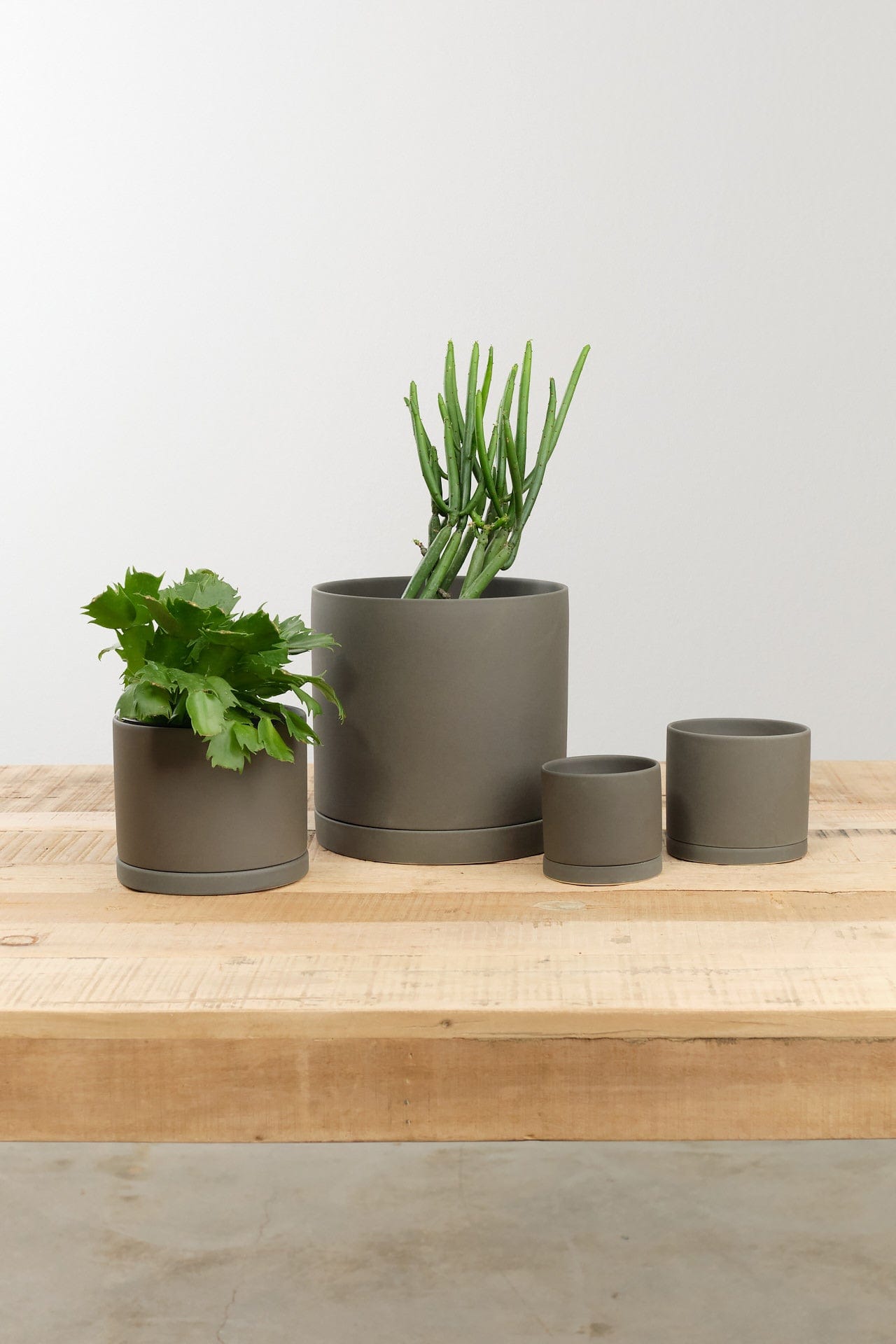 small planters for indoor plants Kinto 8" Plant Pot – Cedar & Hyde Mercantile