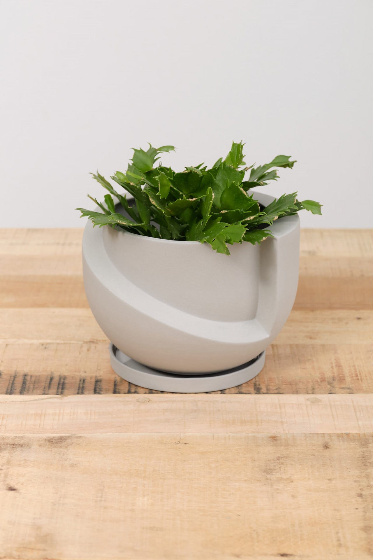 Light + Ladder Home Planters Small Vayu Planter in Stone Stone / 7.75” L X 7.75” W X 5” H