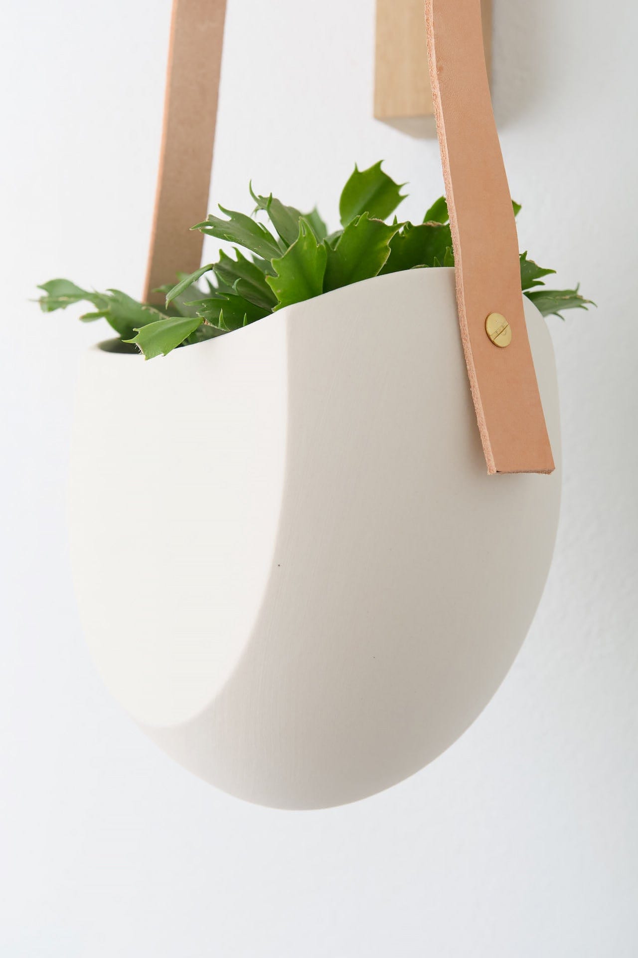 Light + Ladder Home Planters Leather Spora Planter in White White / 7" L X 5.75" W X 6.75" H
