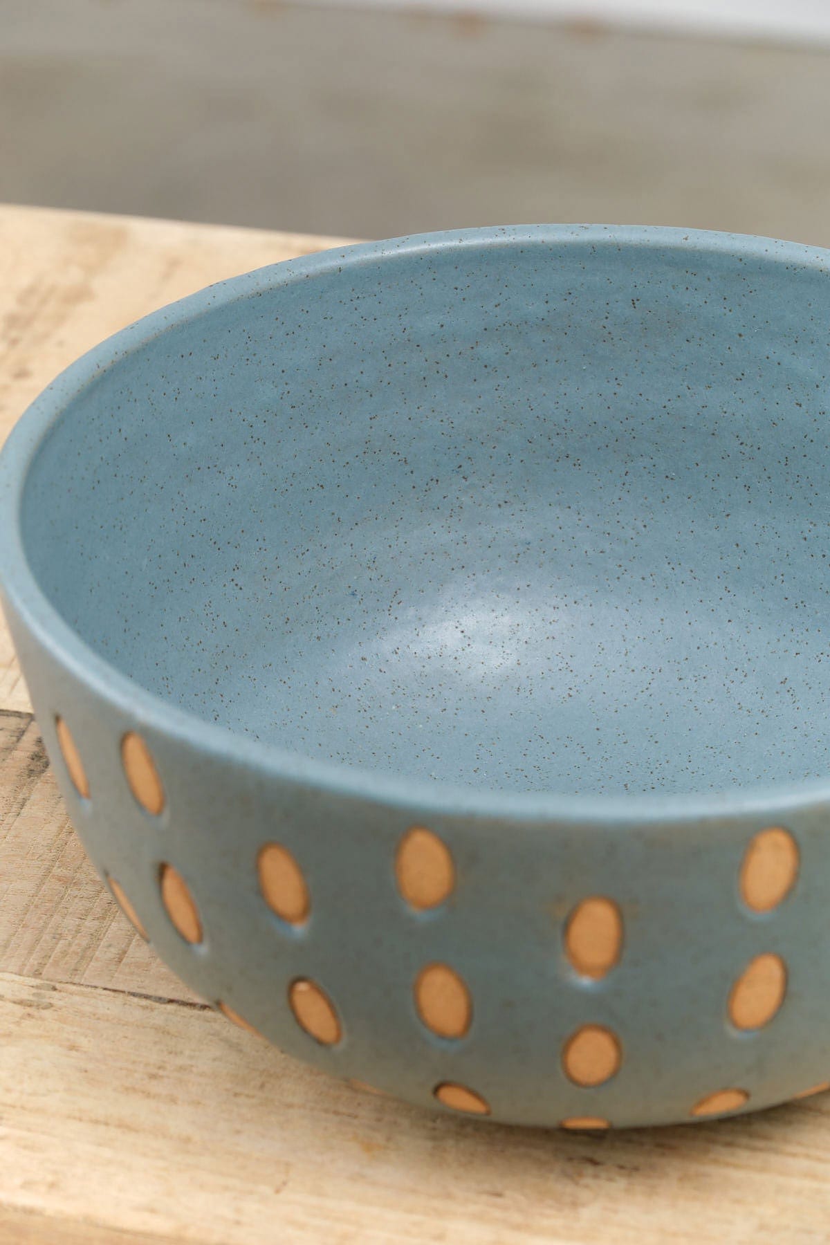 Matthew Ward Studio Art Ceramics Seeds Bowl in Blue Blue