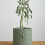 Rami Kim Studio Home Planters Mini Face Planter in Mongolian Green Mongolian Green