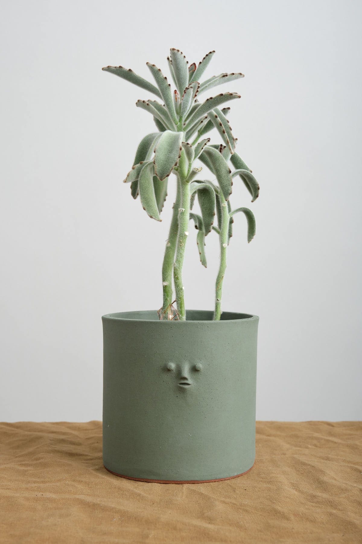 sage green plant pot Rami Kim Studio Mini Face Planter in Mongolian Green – Cedar & Hyde Mercantile