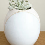 Front of Round Vessel in Full Moon White