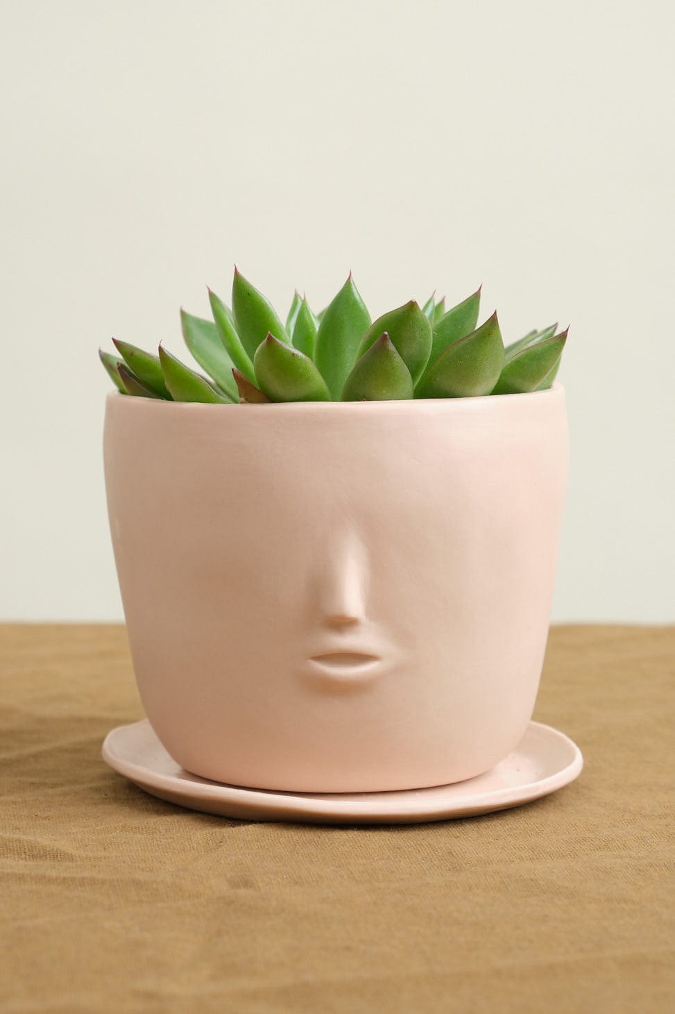 Rami Kim Studio Home Planters Face Pot Set in Blush Blush / 4” D X 4” H