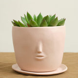 Rami Kim Studio Home Planters Face Pot Set in Blush Blush / 4” D X 4” H