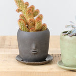 Rami Kim Studio Home Planters Face Pot Set in Raw Black Raw Black