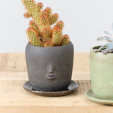 Rami Kim Studio Home Planters Face Pot Set in Raw Black Raw Black