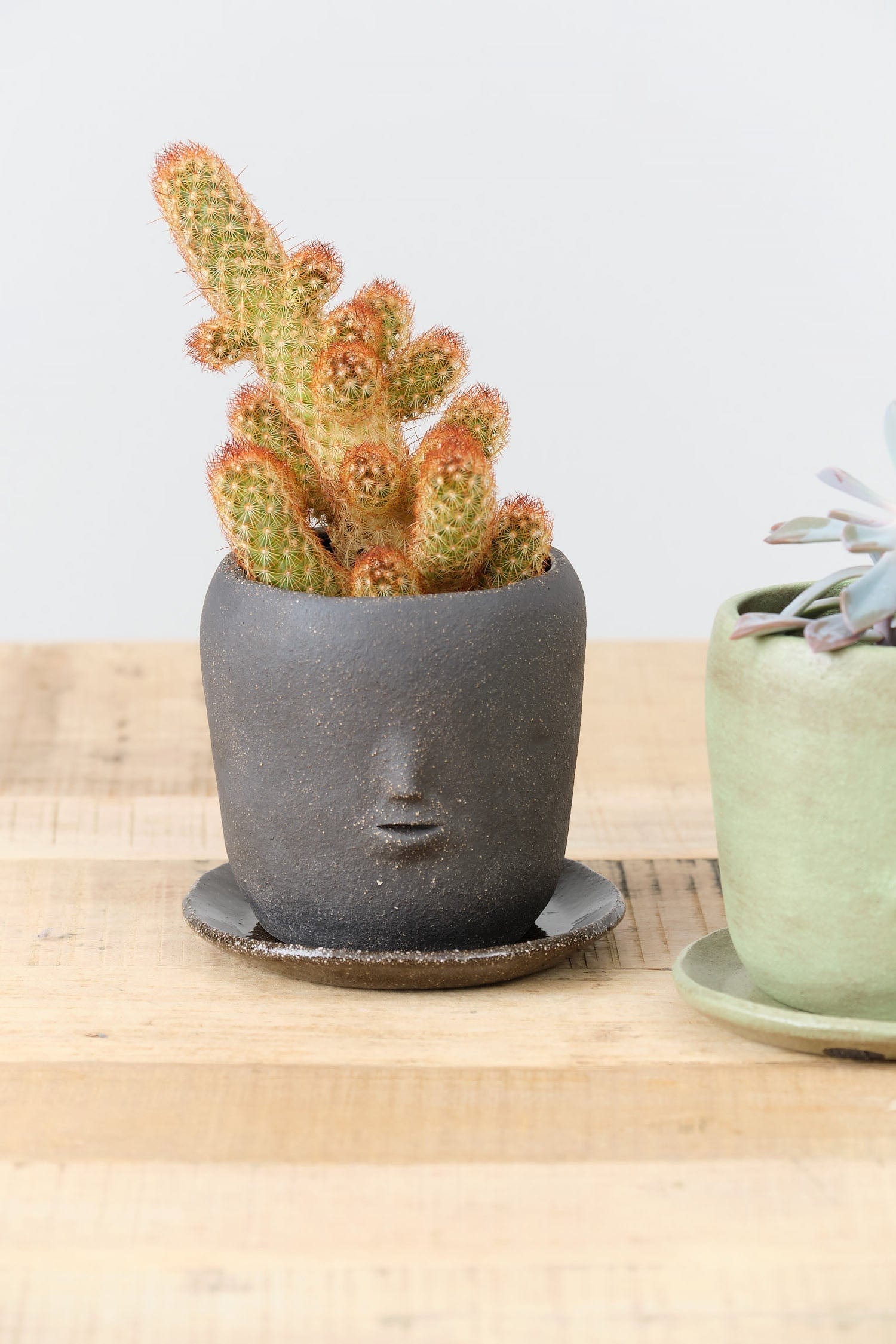 succulent studios pots Rami Kim Studio Face Pot Set in Raw Black – Cedar & Hyde Mercantile