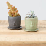 Rami Kim Studio Home Planters Face Pot Set in Warm Green Warm Green