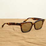 Salt Optics Accessories Sunglasses Chico Sunglasses Toffee Tortoise Gold