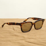 Salt Optics Accessories Sunglasses Chico Sunglasses Toffee Tortoise Gold