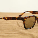 Salt Optics Accessories Sunglasses Chico Sunglasses Toffee Tortoise Gold