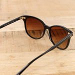 Salt Optics Accessories Sunglasses Virginia Sunglasses Black