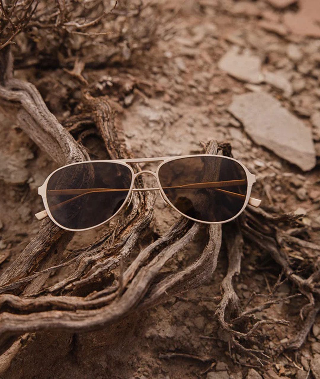 salt sunglasses from salt optics