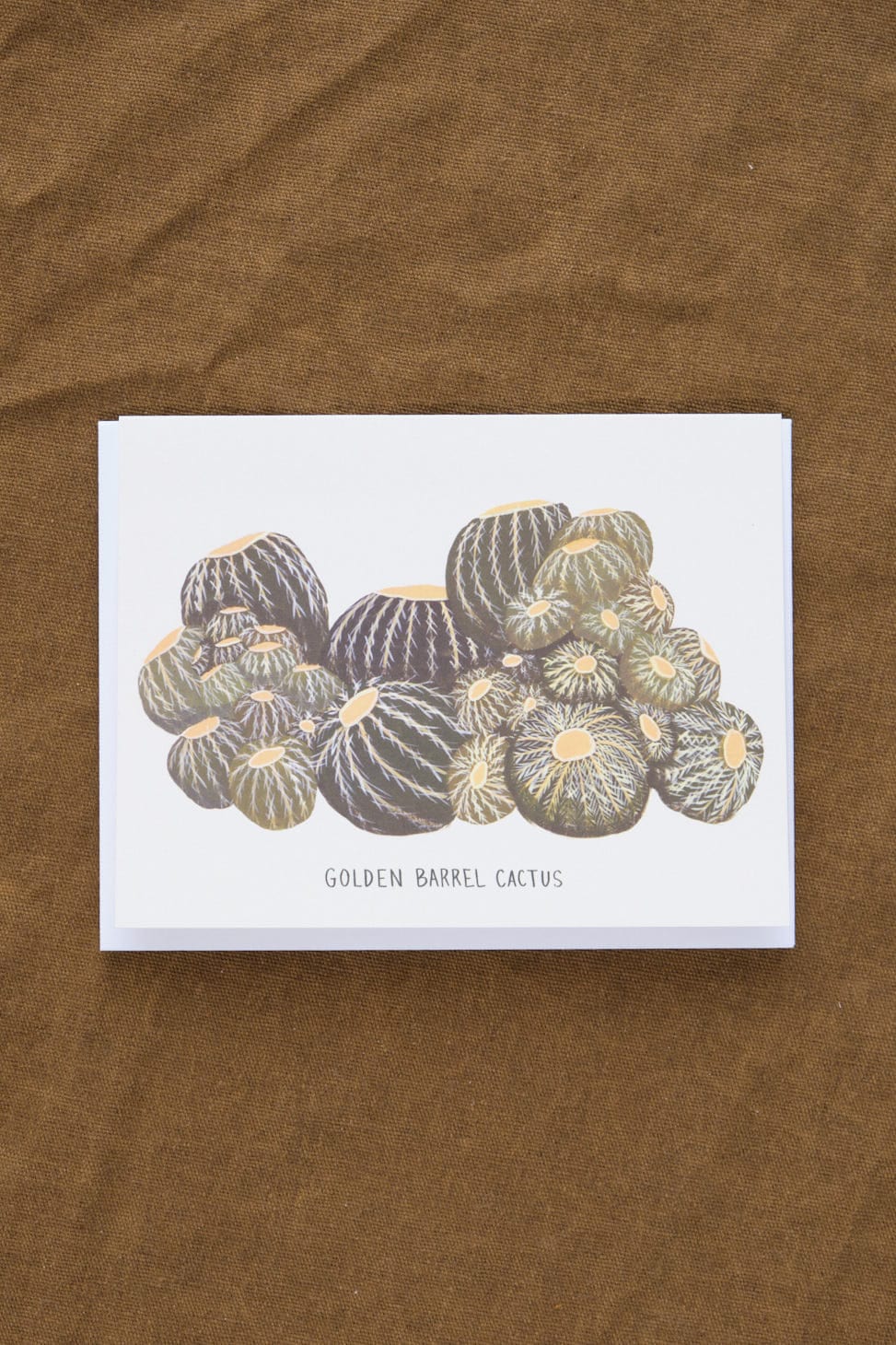 Small Adventure Craft Stationery Golden Barrel Cactus Card