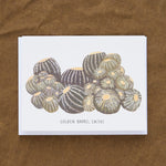 Small Adventure Craft Stationery Golden Barrel Cactus Card