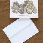 Small Adventure Craft Stationery Golden Barrel Cactus Card