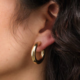 Stephanie Windsor Jewelry Earrings Medium Chubby Hoop Earrings 14K Yellow Gold