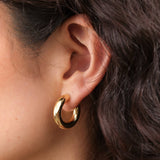 Stephanie Windsor Jewelry Earrings Small Chubby Hoop Earrings 14K Yellow Gold