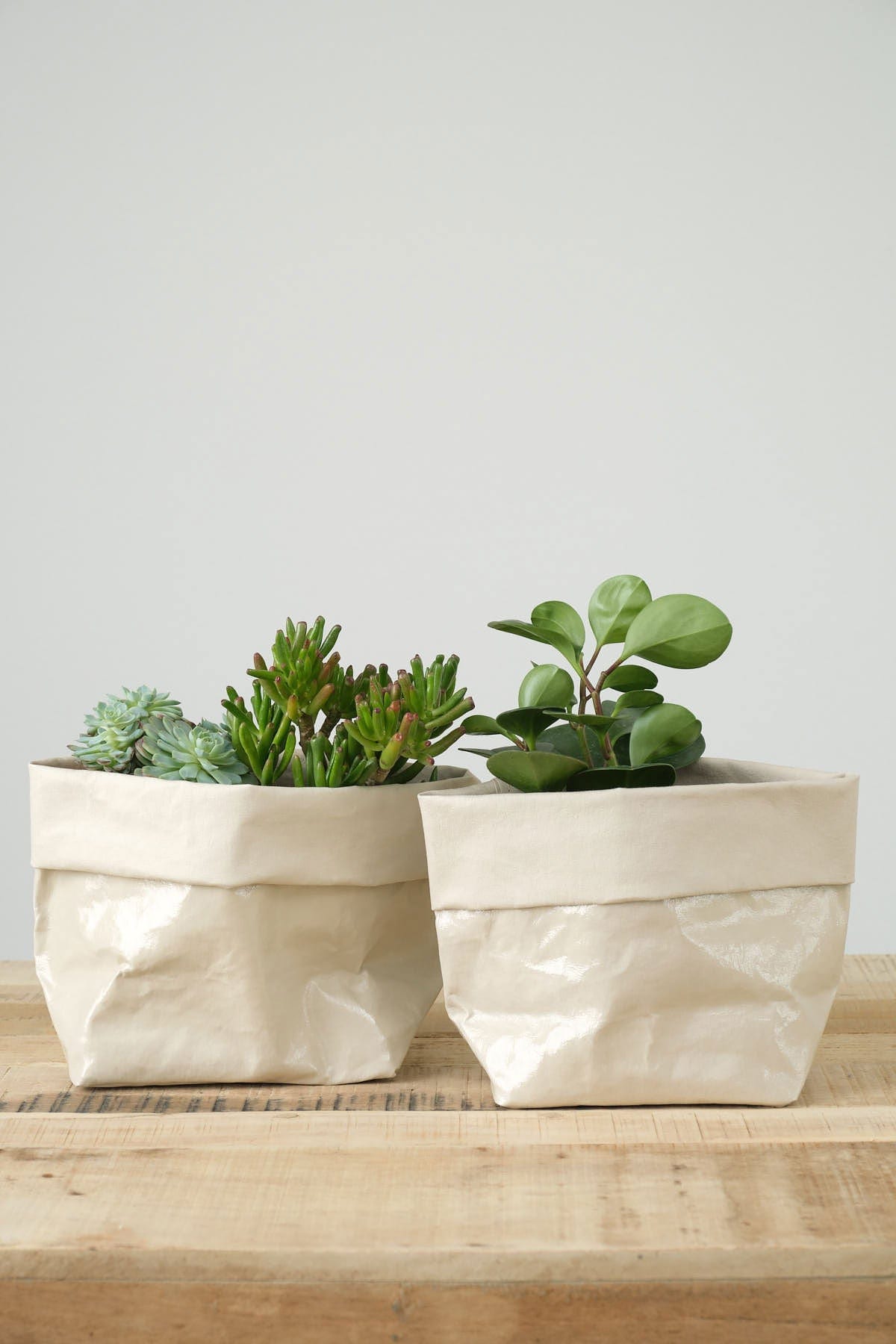 paper bag plant pots Uashmama Glossy Large Paper Bag – Cedar & Hyde Mercantile