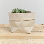 Uashmama Home Baskets Glossy Medium Paper Bag Glossy Cachemire / 7" L X 4.5" W X 7.5" H