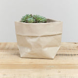 Uashmama Home Baskets Glossy Medium Paper Bag Glossy Cachemire / 7" L X 4.5" W X 7.5" H