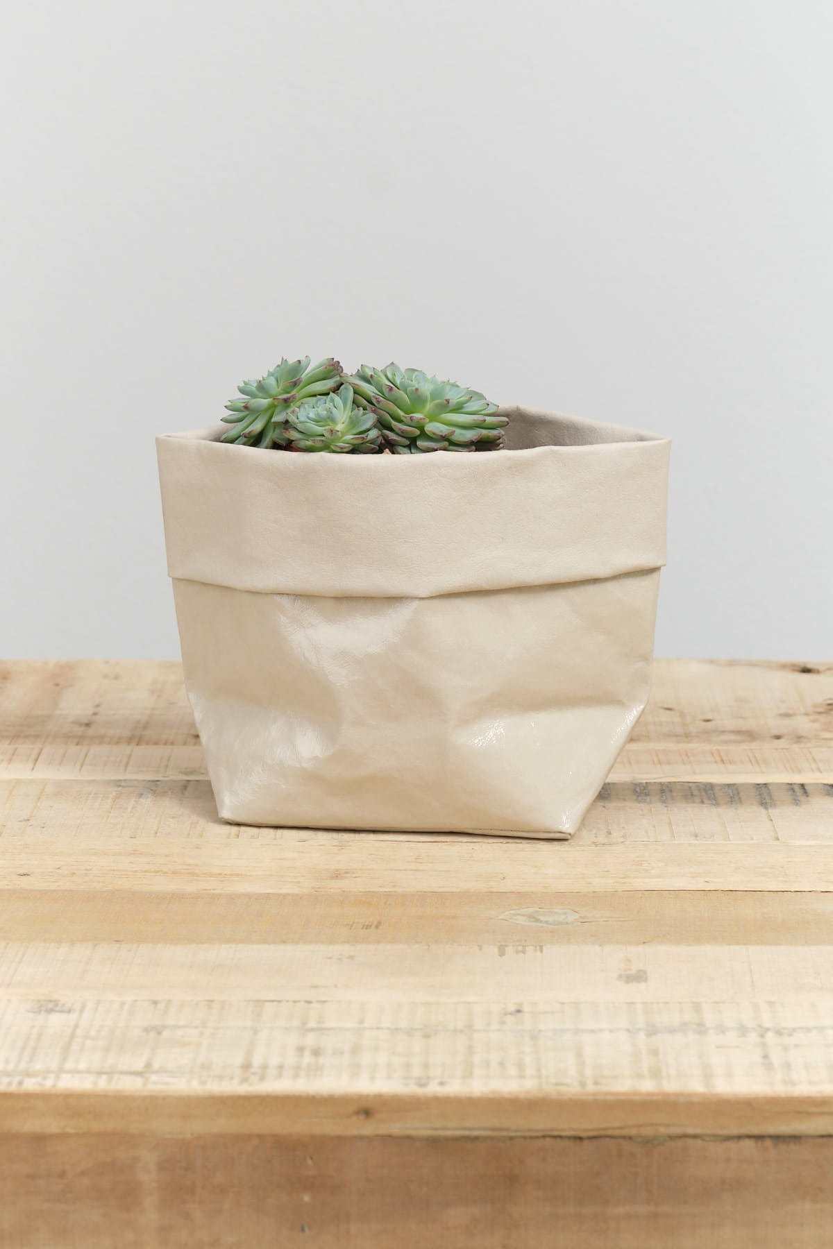 Uashmama Home Baskets Glossy Medium Paper Bag Glossy Cachemire / 7" L X 4.5" W X 7.5" H