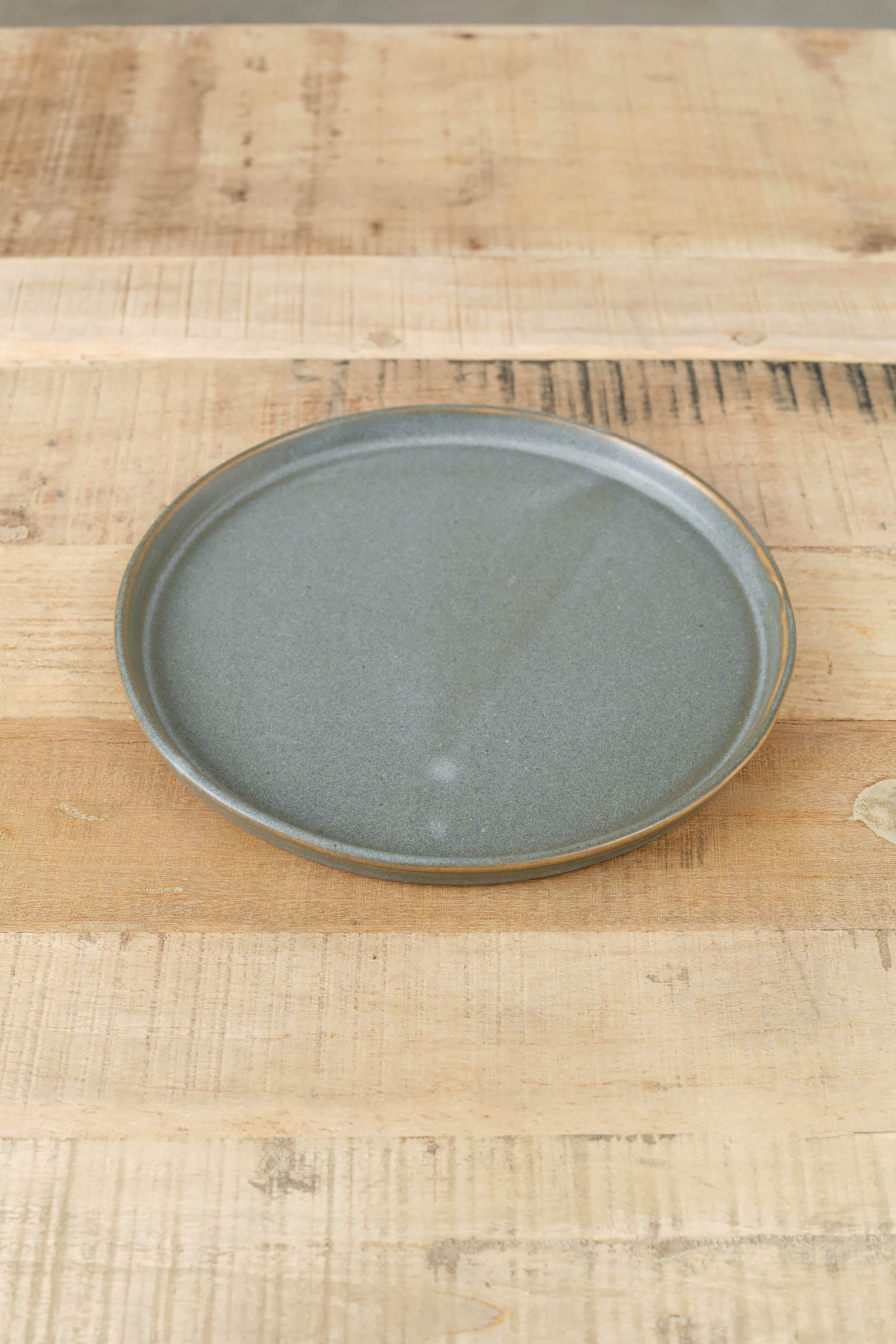 WRF Lab Ceramics Home Kitchen Dishware Medium Standard Plate Ash / 9" D