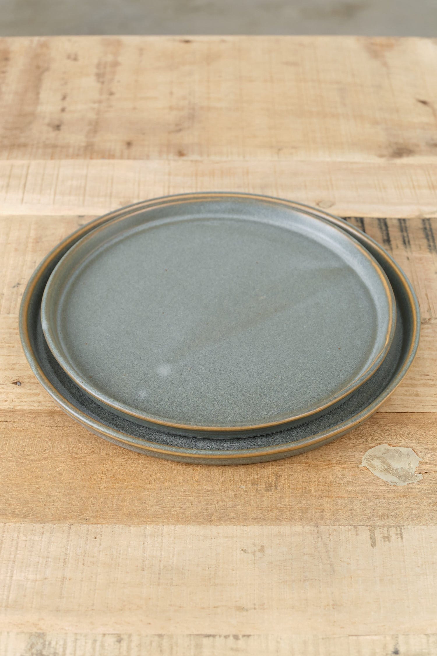 WRF Lab Ceramics Home Kitchen Dishware Medium Standard Plate