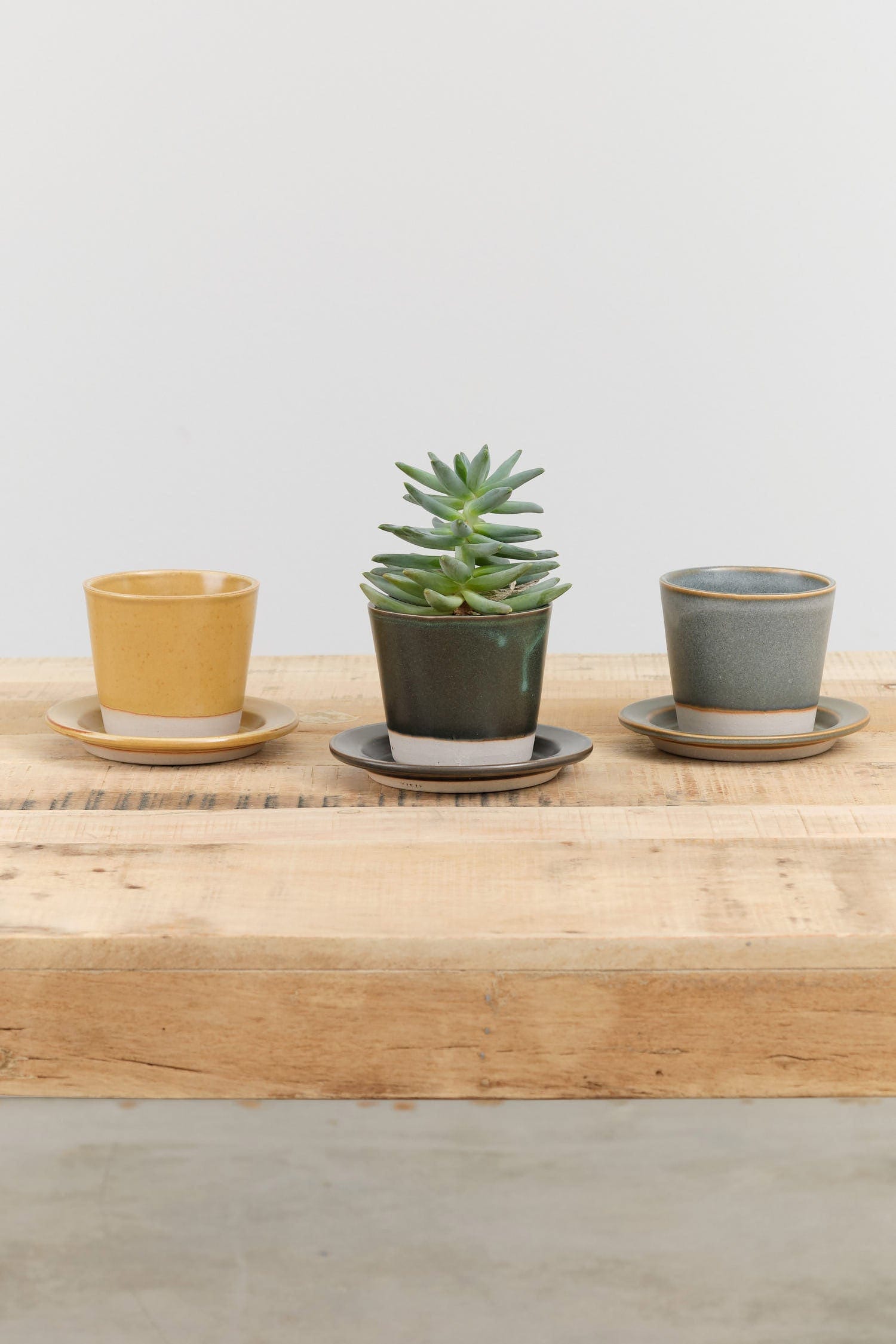 WRF Lab Ceramics Home Planters Small Planter