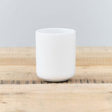 Zone Denmark Home Bath Accessories UME Tooth Brush Mug White / 4" H