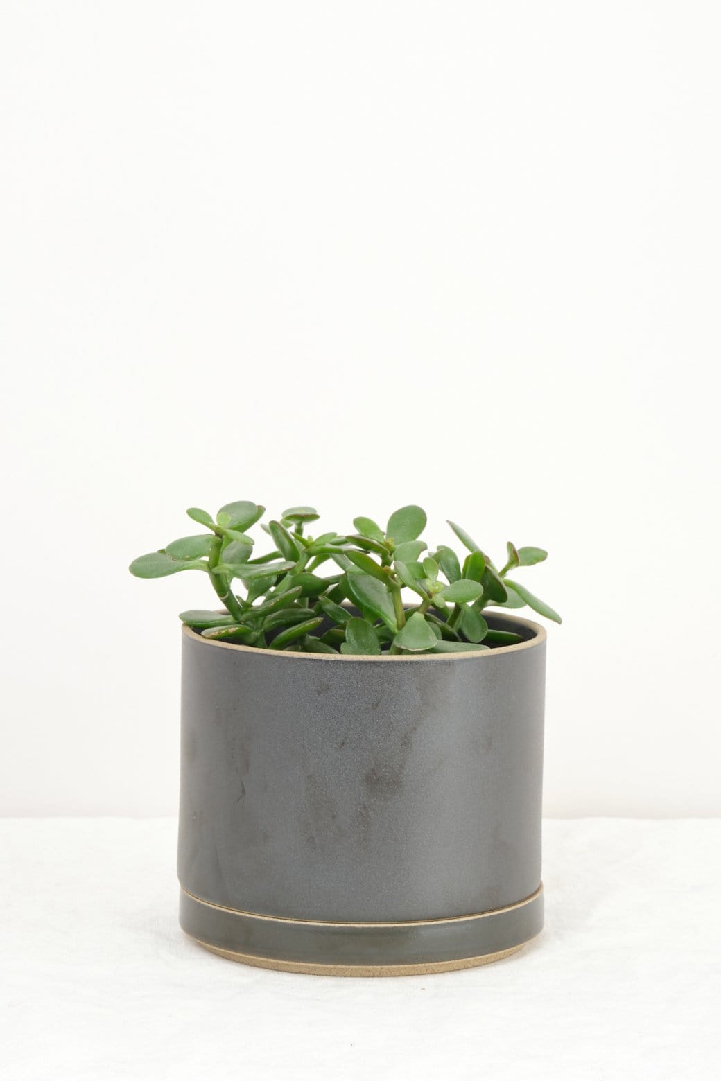 Hasami Porcelain Home Planters Large Planter Black / 5" D X 4" H