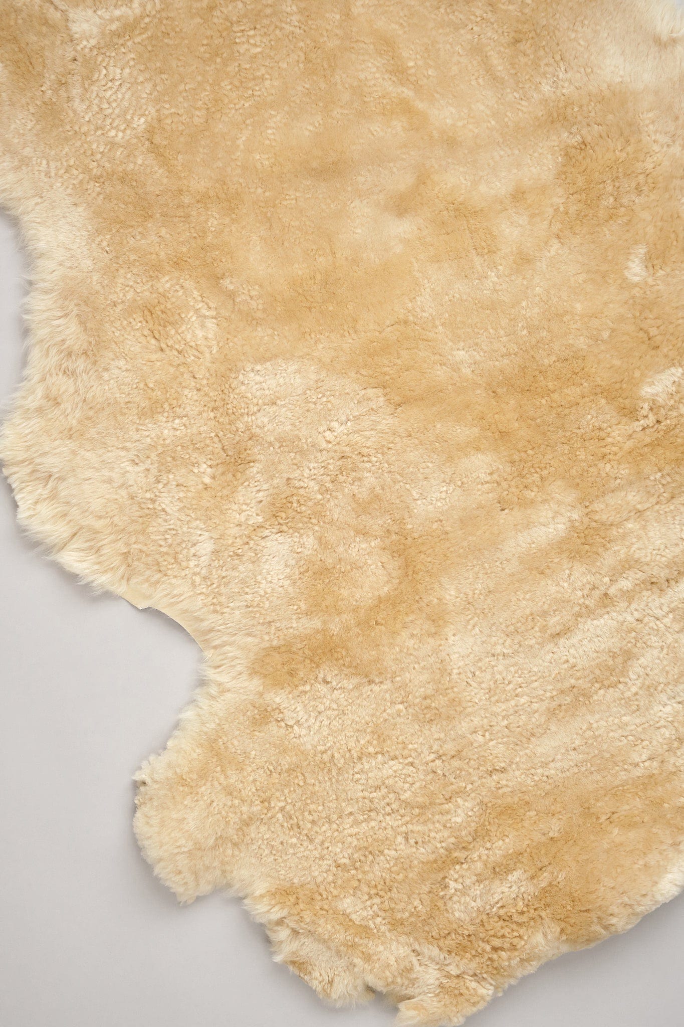 Farmhouse Pottery Home Rugs Natural Sheepskin in Oat Oat / 41" X 24"